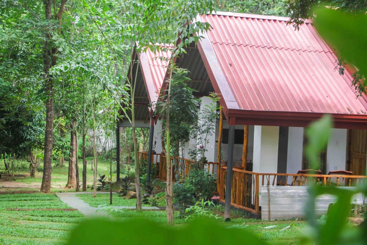 Victory Villa Сигирия Экстерьер фото